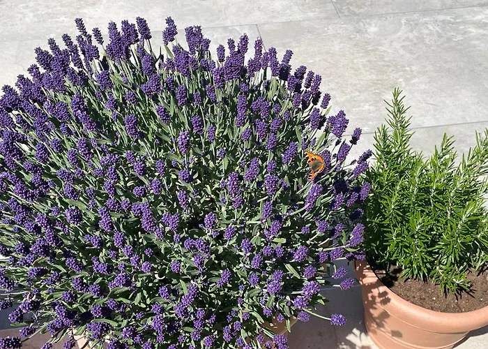 Bergleben * Schladming